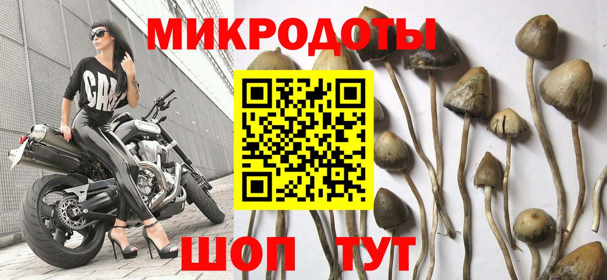 Псилоцибиновые грибы мицелий Коркино