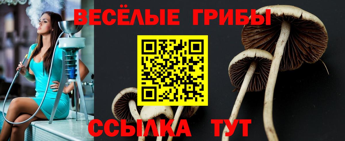 Коркино  Псилоцибиновые грибы MAGIC MUSHROOMS  Галлюциногенные грибы Magic Shrooms  Вход с VPN 