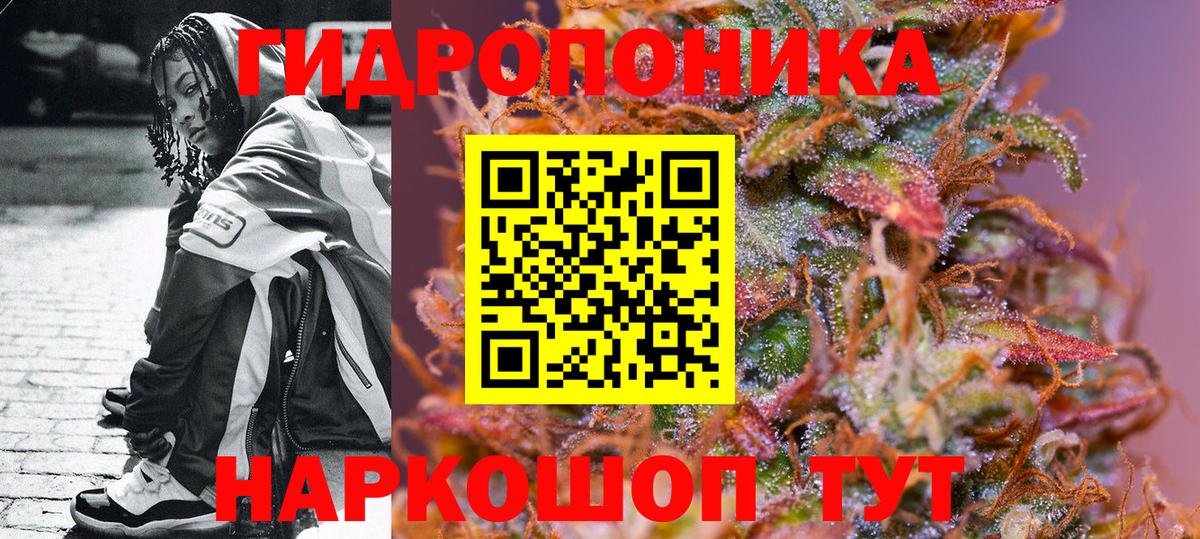 Каннабис Amnesia  Марихуана семена  Бошки Шишки конопля  Бошки марихуана конопля  Коркино  Вход с VPN 